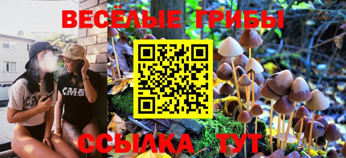 Псилоцибиновые грибы прущие грибы  Псилоцибиновые грибы GOLDEN TEACHER  Губкинский  Вход с VPN 